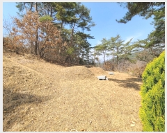  2023Ÿ��100653 ��� �ȵ��� ����� ��õ�� 447      ����(��1)���