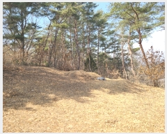  2023Ÿ��100653 ��� �ȵ��� ����� ��õ�� 447      ����(��1)���