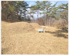  2023Ÿ��100653 ��� �ȵ��� ����� ��õ�� 447      ����(��1)���