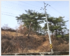  2023Ÿ��100653 ��� �ȵ��� ����� ��õ�� 447      ����(��1)���