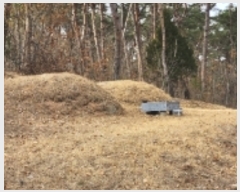  2023Ÿ��100653 ��� �ȵ��� ����� ��õ�� 447      ����(��1)���