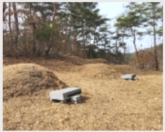  2023Ÿ��100653 ��� �ȵ��� ����� ��õ�� 447      ����(��1)���