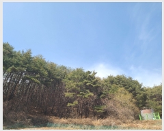  2023Ÿ��371 ��� ��ȭ�� ��õ�� �ӱ⸮ 95-1      ����(��1)���