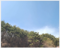  2023Ÿ��371 ��� ��ȭ�� ��õ�� �ӱ⸮ 95-1      ����(��1)���