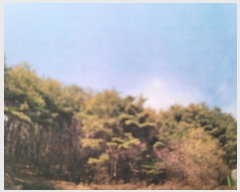  2023Ÿ��371 ��� ��ȭ�� ��õ�� �ӱ⸮ 95-1      ����(��1)���