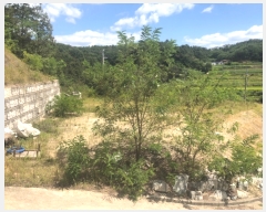  2023Ÿ1657  ȵ ǳõ  88      (Ӿ)