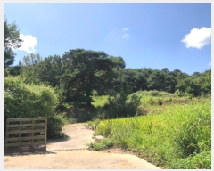  2023Ÿ1657  ȵ ǳõ  88      (Ӿ)