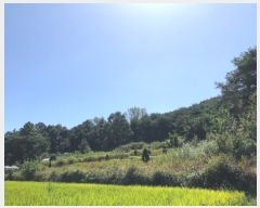  2023Ÿ1657  ȵ ǳõ  88      (Ӿ)