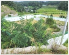  2023Ÿ1657  ȵ ǳõ  88      (Ӿ)