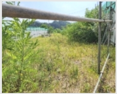  2023Ÿ1657  ȵ ǳõ  88      (Ӿ)