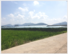  2023Ÿ��2011 ��� ���ֽ� ��õ�� ����� 2067-1      ����(��)���