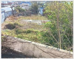  2023Ÿ��2813  �������