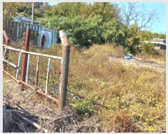  2023Ÿ��2813  �������