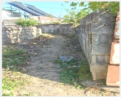  2023Ÿ��2813  �������