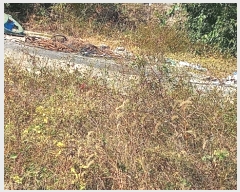  2023Ÿ��2813  �������