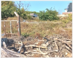  2023Ÿ��2813  �������