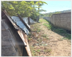  2023Ÿ��2813  �������