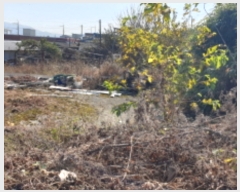  2023Ÿ��2813  �������