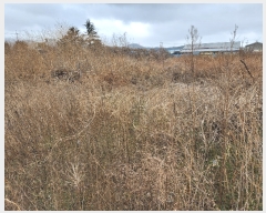  2023Ÿ��10470  �����