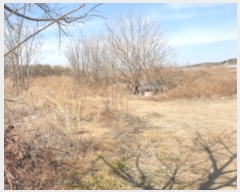  2023Ÿ��10470  �����