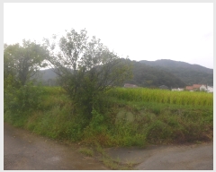  2023Ÿ��13011  ����