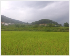  2023Ÿ��13011  ����