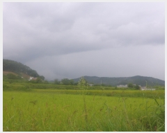  2023Ÿ��13011  ����