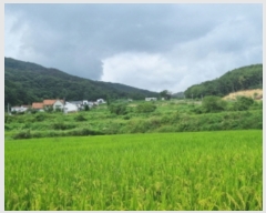  2023Ÿ��13011  ����