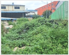  2023Ÿ��13066 ��� ���ֽ� �ܵ��� ���丮 98      ������