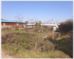  2023Ÿ14144  ֽ ܵ õ 943-1      (󰡽ü)