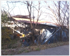  2023Ÿ14144  ֽ ܵ õ 943-1      (󰡽ü)