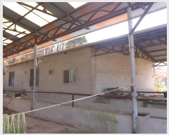  2023Ÿ14144  ֽ ܵ õ 943-1      (󰡽ü)