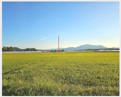  2023Ÿ2748  ̽ 굿  1136-4      (1)