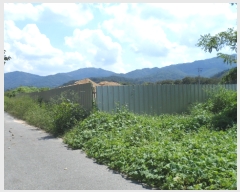  2023Ÿ��14673  ���������