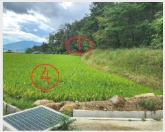  2023Ÿ��15027 ��� ���̽� ������ �Ű 190      ����(��)���