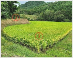  2023Ÿ��15027 ��� ���̽� ������ �Ű 190      ����(��)���