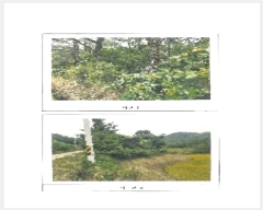  2023Ÿ��15027 ��� ���̽� ������ �Ű 190      ����(��)���