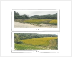  2023Ÿ��15027 ��� ���̽� ������ �Ű 190      ����(��)���