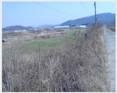  2023Ÿ��308  ���������