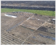  2023Ÿ��308  ���������