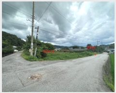  2023Ÿ13540  õ ɸ θ 239-1      ()