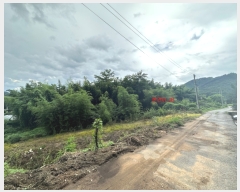  2023Ÿ13540  õ ɸ θ 239-1      ()