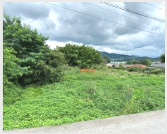  2023Ÿ13540  õ ɸ θ 239-1      ()