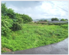  2023Ÿ13540  õ ɸ θ 239-1      ()