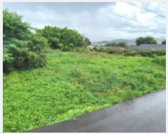  2023Ÿ13540  õ ɸ θ 239-1      ()