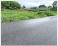  2023Ÿ13540  õ ɸ θ 239-1      ()