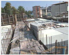  2023Ÿ��1717 ��� ��õ�� ��õ�� ������ 156-3      ����(����)���