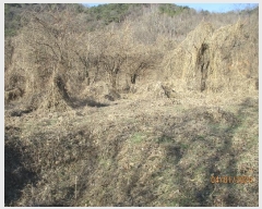  2023Ÿ��2116 ��� ��õ�� ȣ���� ���긮 ��3-1      ����(�Ӿ�)���