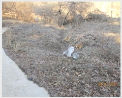  2023Ÿ��2116 ��� ��õ�� ȣ���� ���긮 ��3-1      ����(�Ӿ�)���