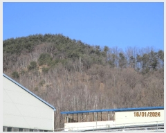  2023Ÿ��2116 ��� ��õ�� ȣ���� ���긮 ��3-1      ����(�Ӿ�)���